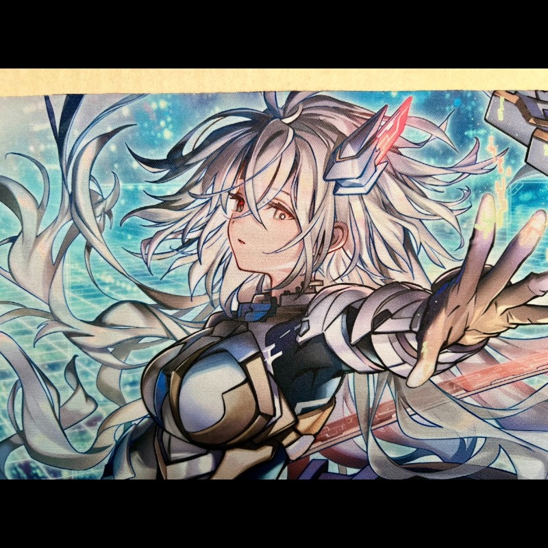 620x265mm Diy Yu-Gi-Oh! Sky St - Door Mat Blank recension och pris